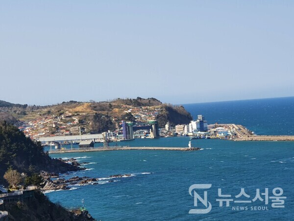 한재 고개 정상에서 바라본 삼척항