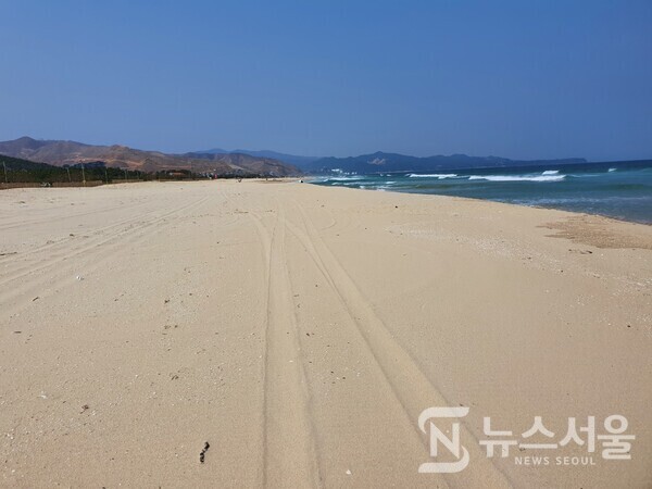 대진해수욕장에서 망상해수욕장까지 기나긴 모래사장. 대진해수욕장부터 노봉해수욕장, 망상해수욕장까지는 사실 연결된 하나의 모래사장으로 백사장이 끝이 보이지 않게 일직선으로 이어져 있다.