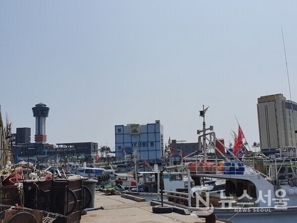 묵호항 풍경. 묵호항은 예로부터 많은 어선과 항구 인근에 많은 횟집과 음식점 등으로 유명하여 관광객들의 발길이 많은 대표적인 어항이다.