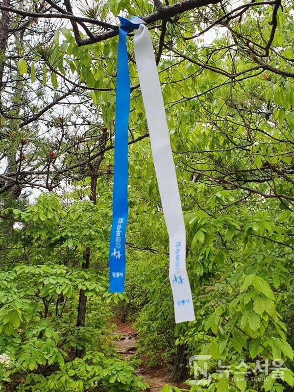 괘방산 등산로 강릉바우길 표식