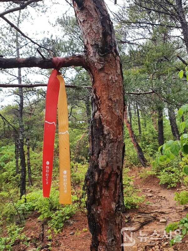 괘방산 등산로 해파랑길 표식