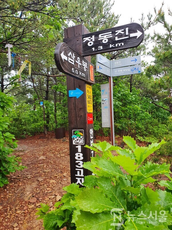 괘방산 183봉 이정표. 정동진역에서 괘방산 산행을 시작한 후 첫 번째 봉우리가 183봉인데, 183봉 정상에서는 정동진 해변과 썬크루즈리조트, 태백산맥 준령 등이 한눈에 조망된다.