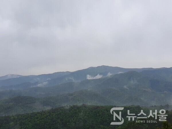 183봉에서 본 태백산맥 준령 모습. 비오는 날 산행을 하다보니 비 구름이 산 아래 군데군데 흩어져 있다.