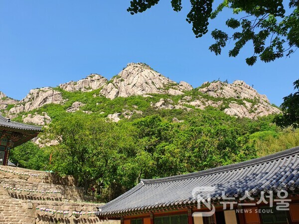 천황사에서 바라본 월출산 봉우리. 천황사 마당에서 법당 지붕 위로 멀리 월출산의 봉우리가 뚜렷이 조망된다.