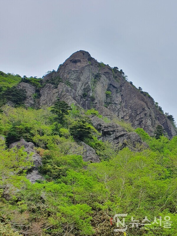  한라산 삼각봉. 삼각봉은 해발 1,700m 정도의 높이이며, 용진각 계곡에서 관음사로 내려가는 등산로 바로 옆에 있다. 다만, 낙석이 심하여 현재는 삼각봉에 올라가지는 못하고 그 바로 밑을 통과할 수 밖에 없어서 아쉽다.