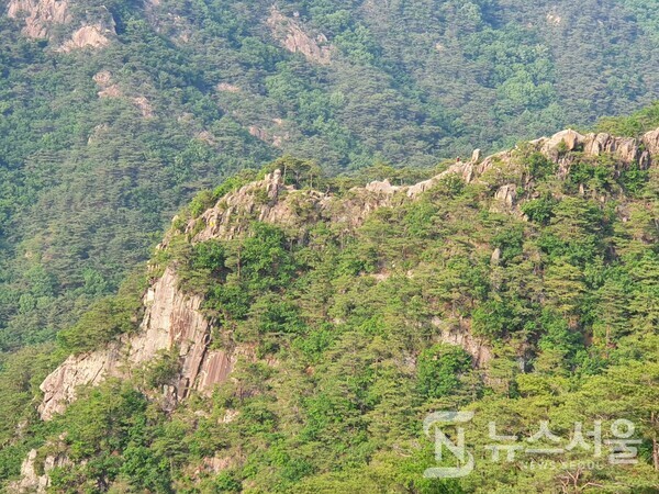 장군바위에서 바라본 남근석 바위능선. 무암사에서 성봉(城峰)으로 연결된 능선은 ‘남근석 능선’과 ‘장군바위 능선’이 있다. 장군바위에서 바라본 건너편 남근석 능선은 수많은 바위들이 팬플룻처럼 연결된 바위군으로 아름다운 풍경에 감탄을 자아내게 한다.