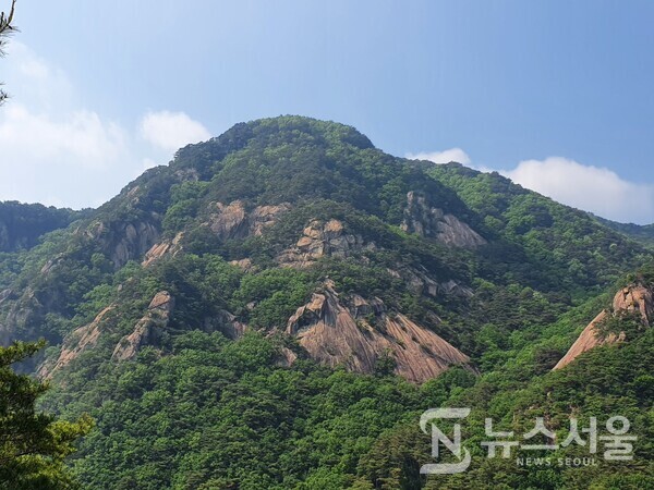 성봉(城峰) 능선에서 바라본 작성산(鵲城山). 성봉(城峰) 능선은 무암계곡 남측에 있는데 능선에 오르면 북측 작성산(鵲城山)이 손에 잡힐 듯이 보인다.