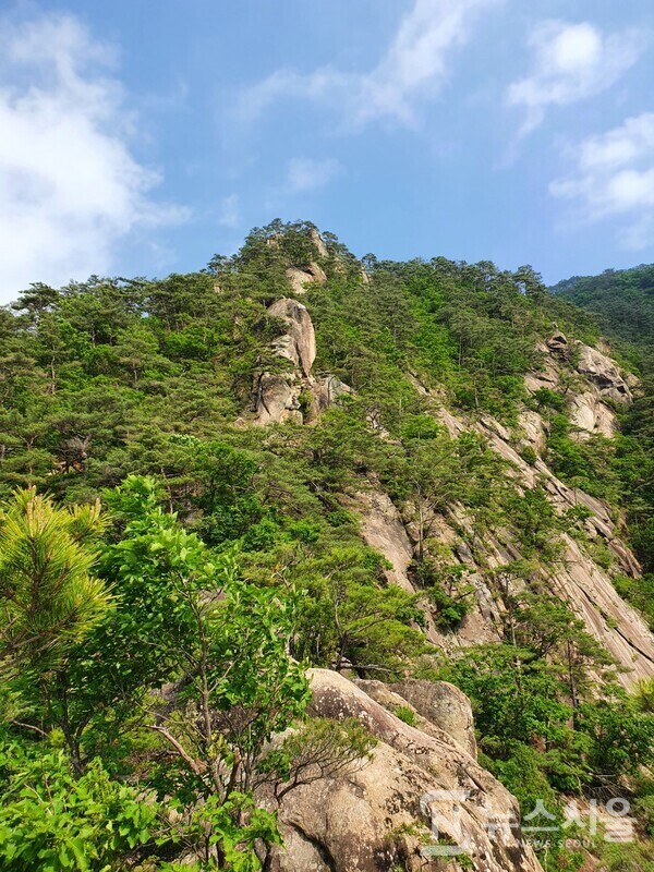 남근석에 바라본 성봉(城峰) 방향 암릉 능선길