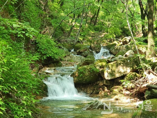 무암계곡. 무암계곡은 제천시 금성면 성내리 동산(東山)과 작성산(鵲城山) 등지에서 발원하는 무암천이 청풍호로 흐르면서 만든 계곡으로 천년고찰 무암사(霧巖寺)에서 이름이 연유된 것이며, ‘청풍8경(淸風八景)’ 중 하나이다.