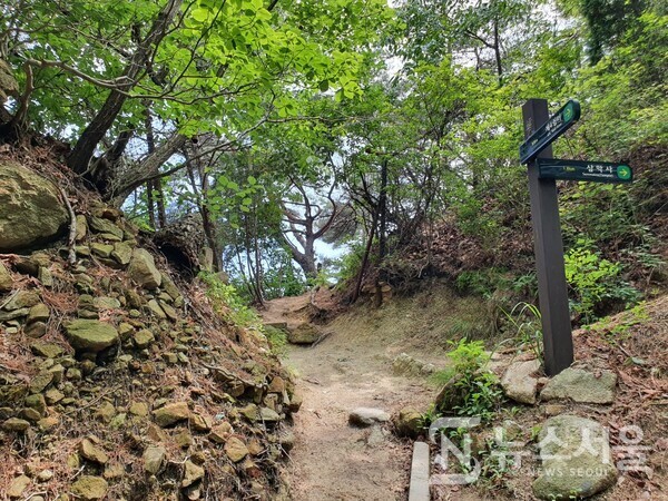무너미고개. ‘무너미고개’는 관악산과 삼성산의 경계일 뿐만 아니라 서울 신림동과 경기도 안양시 비산동의 경계인 야트막한 언덕 고개이다. 무너미고개를 기준으로 북쪽으로 흐르는 물줄기는 ‘도림천’이 되고, 남쪽으로 흐르는 물줄기는 ‘삼성천’에 접어들게 된다.