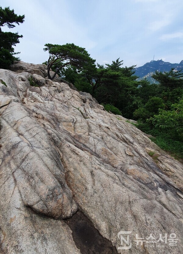 삼성산 거북바위. 깃대봉에서 삼성산 정상 방향으로 걷다 보면 삼막사 조금 못 미친 곳에 넓다란 바위가 있는데, 넓다란 바위 표면에 거북이 등껍질처럼 굴곡이 있어서 ‘거북바위’로 불리운다.