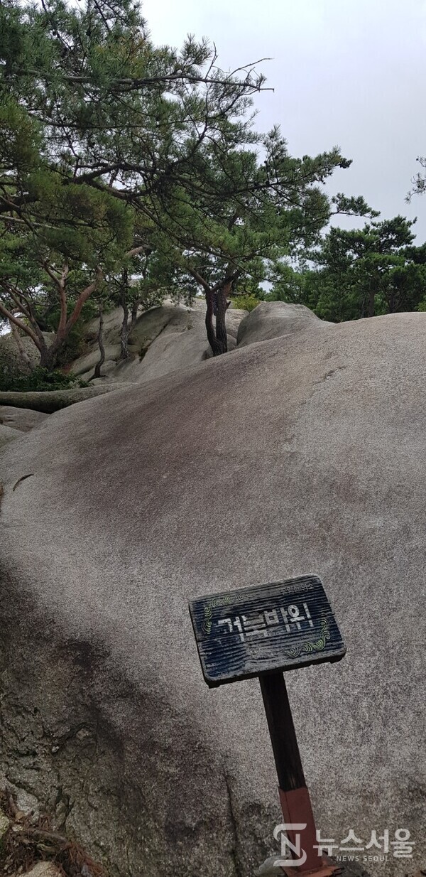 불암산 거북바위. 불암산 정상 아래 널따란 바위가 있는데 거북 모양을 닮아 이름이 ‘거북바위’이다.