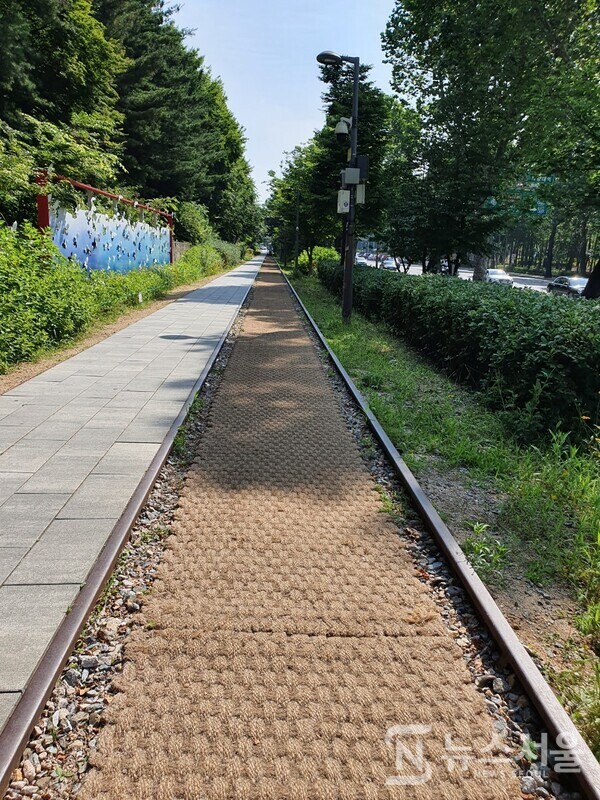경춘선 숲길 공원. 경춘선을 정비하면서 옛날 경춘선 구간 중 성북역과 퇴계원구간이 폐선이 되었는데, 이 중 일부를 ‘경춘선 숲길’이라고 명명하면서 철길 공원화하였다. 지하철 6호선 화랑대역 4번 출구 밖에는 옛날 경춘선 철길 중 폐선이 된 곳을 공원화한 곳이 있는데 이곳을 걸으며 옛날 추억에 잠기는 여행을 할 수 있다.
