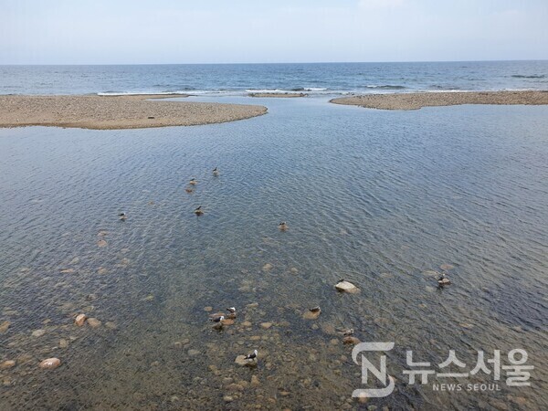 쌍천과 동해바다가 만나는 곳. ‘쌍천’은 설악산 대청봉에서 발원하여 북쪽으로 흐르다 동쪽으로 우회한 후 동해바다로 흐른다. 쌍천 남쪽은 양양군 강현면 물치리이며, 쌍천 북쪽이 속초시 대포동이다. 쌍천이 동해바다와 만나는 지점은 모래가 퇴적되어 있고 맑은 수질로 많은 물새들이 서식하는 곳으로 유명하다.