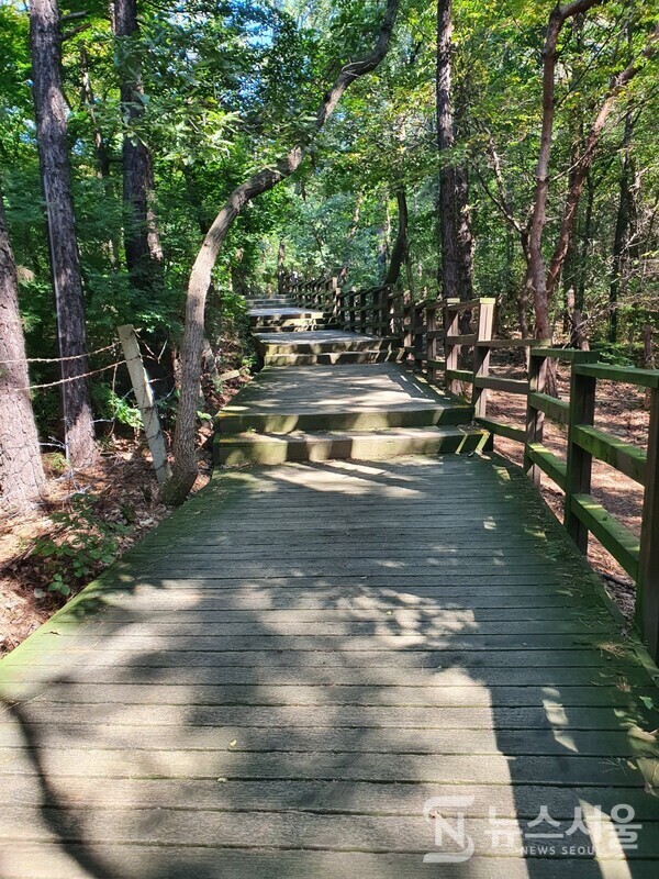 검단산 산행 데크길. 검단산 기슭에는 산행로 곳곳에 나무로 된 데크길을 조성해서 안전하게 산책을 할 수 있다. 꼭 정상까지 산행하지 않더라도 나무데크길을 걸으면서 산책을 하는 것만으로도 충분한 힐링이 된다.
