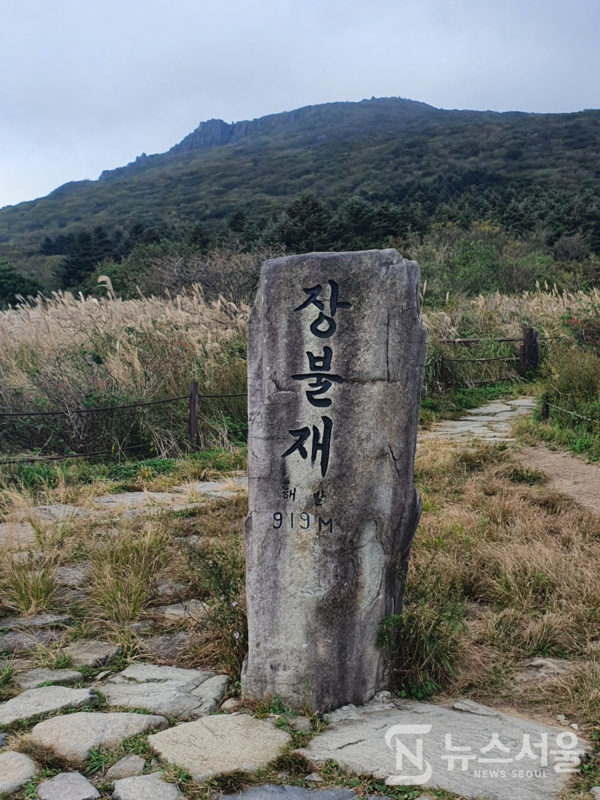 장불재 표지석. ‘장불재(長佛峙)’는 광주시 동구 용연동과 전남 화순군 이서면 영평리 경계에 위치한 해발 919m 높이의 고개로 장불재 인근에는 방송국 송신소와 통신시설 등이 설치되어 있다. 또한 이곳부터 ‘백마능선’이 주능선에서 분리되어 낙타봉, 안양산으로 이어진다.