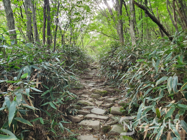 꼬막재 가는 길. 무등산국립공원관리사무소 원효분소에서 꼬막재 가는 길은 상수리나무 등 다양한 나무와 수풀로 무성하다. 또한 산길에는 크고 작은 돌들이 깔려 있다.