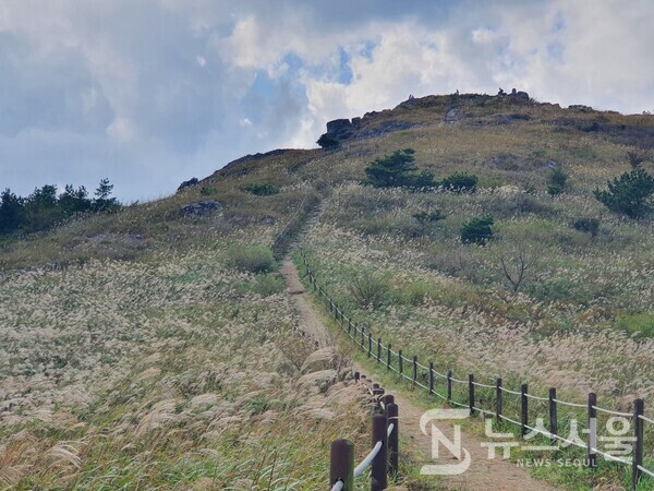 서석대에서 하산하여 목교로 내려와 목교 갈림길에서 중봉(해발 915m)에 이르는 길은 과거 군부대가 주둔하고 있었던 곳이었는데 군부대를 이전한 뒤 억새와 야생화 등을 식재하여 복원한 곳이다. 지금은 가을 무등산 최고의 억새군락지로 유명해졌는데, 중봉복원지에 넓게 펼쳐져 있는 억새군락지에 가을 바람이 불고 햇빛이 비추면 억새들이 파도처럼 은빛 물결을 만들면서 출렁이는 모습을 연출하는데 장관을 이룬다.