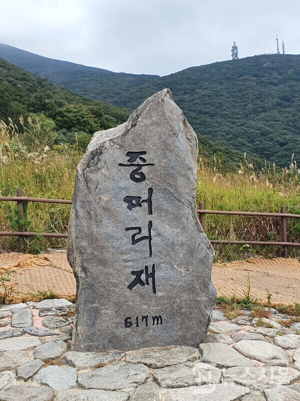 중봉에서 30여분 정도 급경사의 내리막길을 걸어 내려가면 ‘중머리재’(해발 617m)에 도착하게 된다. 중봉에서 중머리재까지는 거리상으로는 1km이지만 중봉 높이가 해발 915m인데 중머리재 높이가 해발 617m로 표고차가 300m 이다. 중봉에서 중머리재 내려오는 길은 이 높이를 30여분 정도에 내려오는 산행길이라서 생각보다 경사가 심하다. ‘중머리재’는 새인봉, 용추폭포, 증심사 가는 길이 나뉘는 갈림길이기도 하다.