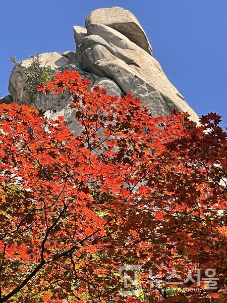도봉산 단풍과 자운봉