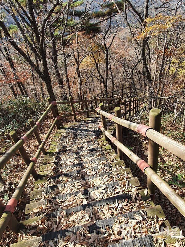  모악산 신선대 인근 등산로 계단. 모악산 정상에서 김제 금산사로 내려가는 등산로 나무계단에는 떨어진 낙엽이 쌓여 가을 정취를 물씬 풍기고 있다. 낭만적이기는 하지만 하산할 때 낙엽이 쌓인 길은 미끄러워 상당히 조심해야 한다.