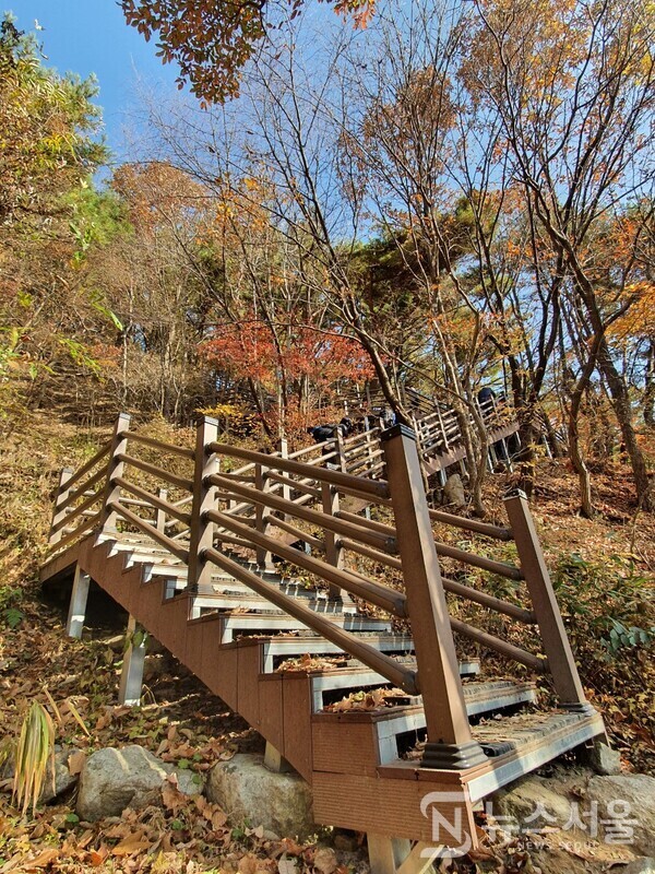 모악산 무제봉 올라가는 길. 완주군 구이면 모악산 동쪽 선녀계곡과 대원사를 지나 모악산 정상에 올라가는 등산코스 중간에 무제봉이 있다. 대원사 지나 무제봉까지 올라가는 등산로는 경사가 심해 나무계단이 설치되어 있다. 단풍이 곱게 물든 모악산 무제봉 오르는 등산로에 가을이 깊어가고 있다.