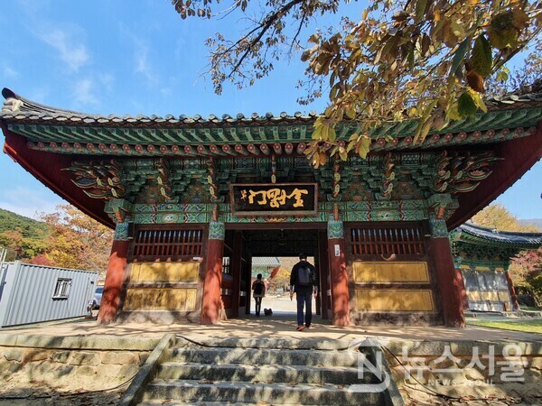 금산사 금강문. 금산사 일주문을 지나 100m 정도 오르면 작은 개울 건너 ‘금강문(金剛門)’이 자리 잡고 있다. 금산사 금강문(金剛門) 전각 안에는 밀적금강, 나라연금강의 두 금강역사와 사자를 탄 문수동자와 코끼리를 탄 보현동자상이 자리 잡고 있다.