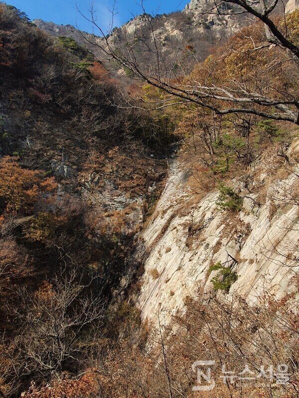 은선폭포. 관음봉에서 동학사 계곡으로 내려가는 곳에 유명한 ‘은선폭포’가 있다. 옛날 신선들이 숨어서 놀았을만큼 아름다운 곳이라 하여 ‘은선폭포’라 이름지어졌다고 한다. 높이 46m, 폭 10m, 경사 60도 정도의 폭포이지만, 필자가 방문한 때에는 갈수기라서 낙수가 많지 않았다. 다만 은선폭포 주변의 가을단풍이 절정이어서 폭포와 단풍이 아름답게 조화를 이루고 있었다.