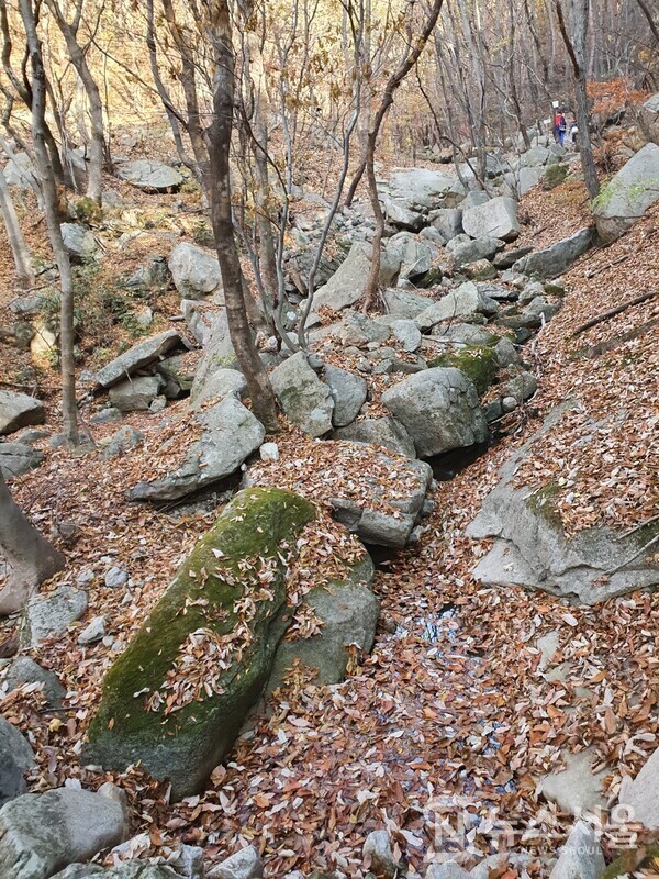 계룡산 천정골. 계룡산 동학사 주차장에서 서쪽방향으로 걷다보면 우측으로 ‘천정탐방지원센터’가 있으며, 이곳을 통과하면 완만한 경사의 골짜기가 나오는데 바로 ‘천정골’이다. 이곳에서 문골삼거리까지는 그리 경사가 급하지 않아 천천히 걸으면서 가을 계룡산의 풍취를 만끽할 수 있다.
