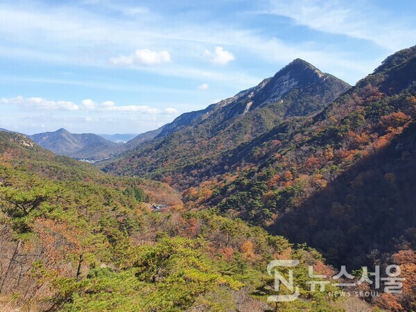 계룡산 가을단풍. 계룡산의 가을은 산봉우리와 노란 갈색의 활엽수, 녹색의 침엽수가 어우러져 아름다운 한 폭의 그림을 선보인다.