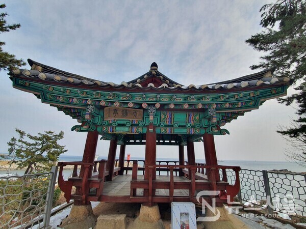 천학정