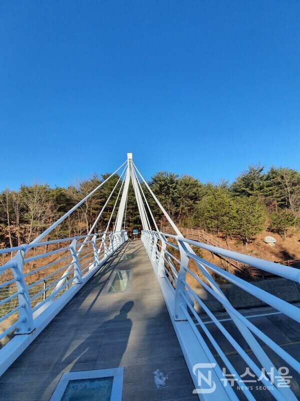 화진포해맞이교. 거진항 뒤편 산등성이에 있는 거진등대부터 해맞이봉 전망대, 12지신상, 해오름 쉼터까지 연결되는 산길을 “화진포 해맞이 산소길”이라 한다. 화진포 해맞이산소길 끝 부분에 응봉 가는 도로 위 육교 다리가 있는데 바로 ‘화진포해맞이교’이다. 2014년에 준공되었고 삼림욕을 즐기는 관광객의 사랑을 받는 명소 중 하나이다.