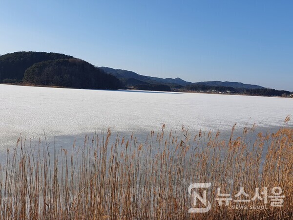 화진포 호수. ‘화진포 호수’는 우리나라에서 가장 큰 석호(潟湖)로 바닷물과 민물이 교차하여 다양한 생태계의 보고로 기능하고 있다. 화진포 호수는 남쪽과 북쪽에 8자형을 그리면서 북호로 남호로 나뉘어 있는데, 바다로 연결되는 북호의 해안가에 화진포해수욕장이 있다. 화진포 호수는 호수 면적이 2.3㎢이며, 호수 주변은 약 16km 정도이다. 호수 주변에는 울창한 송림이 병풍처럼 둘러싸여 있어 경관이 아름답기로 유명하다.