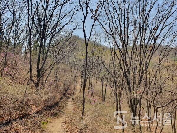 서해랑길 97코스 산길. 피고개산에서 서북쪽방향으로 경사가 급한 내리막 산길을 조심히 내려가다 보면 좌측으로 군부대 철조망 경계로 이어진 길로 연결되는데, 사람의 통행이 많지 않은 호젓하고 여유로운 산길을 편안하게 걸을 수 있다.