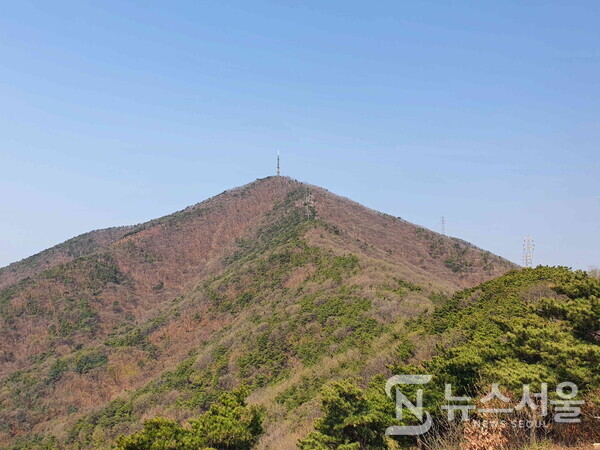 하느재 고개에서 바라본 계양산 정상 봉우리. 계양산성 탐방로에서 계양산으로 가는 중간에 ‘하느재 고개’가 있다. 하느재 고개에 오르면 눈앞에 계양산 정상 봉우리가 뚜렷하게 보인다. 초봄 계양산에는 진달래의 분홍색과 나뭇잎의 녹색이 어우려져 향연을 펼치고 있다.