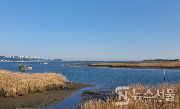 낙동강 하구 명지갯벌. 낙동강 하구 명지동 해안가에는 드넓은 갯벌이 펼쳐져 있다. 이 명지갯벌에는 조개류 등 어족자원이 풍부하여 철새들이 많이 찾는다. 그러나 최근 명지동 일대에 무분별한 개발로 갯벌생태계가 조금씩 파괴되어 가는 점이 아쉽다.