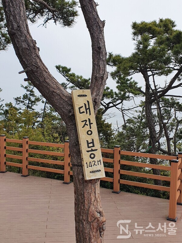 대장봉 정상 표시판. 대장봉 정상은 생각보다 넓고 나무데크로 전망대가 조성되어 있다. 대장봉 정상데크 가운데 소나무가 있는데 소나무에 “대장봉 142m'라는 나무 표시판이 걸려 있다. 