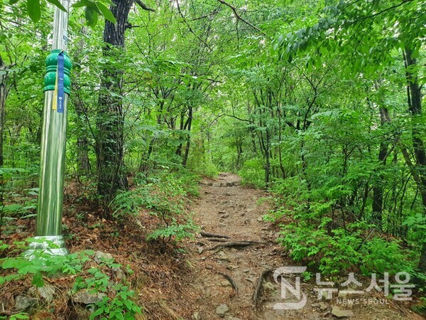 청량산 가는 산길. 남파랑길 10코스는 마산항 입구에서 시작하여 해운동, 월영동 아파트 단지를 지나 청량산 임도로 연결된다. 월영동 고운초교 건너편에 청량산 임도로 올라가는 산길로 이어지는 나무데크 계단길이 있다. 나무데크 계단을 올라가면 청량산 가는 산길이 나오며 산길을 지나면 청량산 숲길 임도로 연결된다.