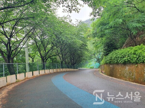 청량산 숲길 임도. 창원시 마산합포구 남쪽에는 천마산, 청량산 임도를 연결하는 청량산 숲길 임도가 조성되어 있다. 임도이지만 아스팔트 포장이 되어 있고 간간히 우레탄이 깔려있는 구간도 있다. 청량산 임도 중간에는 전망대 정자, 휴식 벤치 등이 있어 휴식하기도 용이하며, 해발고도가 약 300m 정도 되어 산 아래 마산시내, 마창대교, 마산만 등이 한눈에 조망된다.