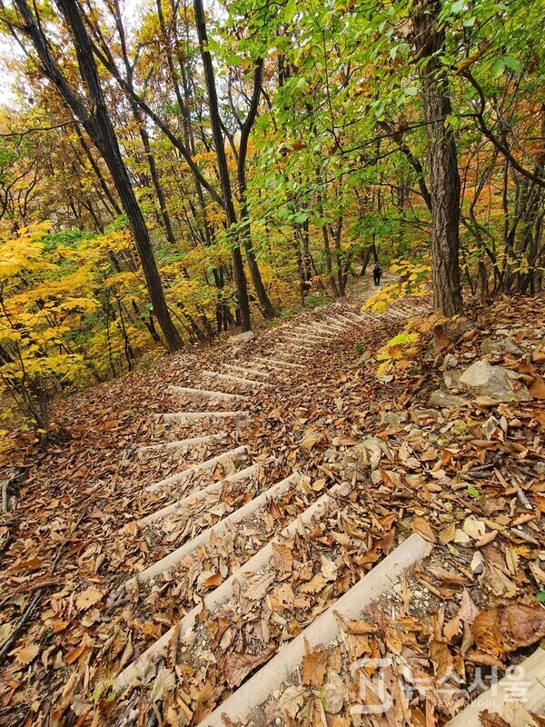 고대산 3등산로 내리막 나무계단길. 고대산 3등산로(코스) 하산코스는 고대산 정상에서 시작하여 마여울, 표범폭포를 지나 고대산 캠핑리조트까지 이어지는 3km가 약간 넘는 길이의 코스이다. 암릉과 약간 경사가 있는 내리막길로 이루어져 있어 곳곳에 나무계단길이 만들어져 있다. 가을 낙엽과 단풍으로 덮인 내리막 나무계단길은 운치가 있지만 미끄러질 우려가 있어 조심히 걸어 내려와야 된다. 