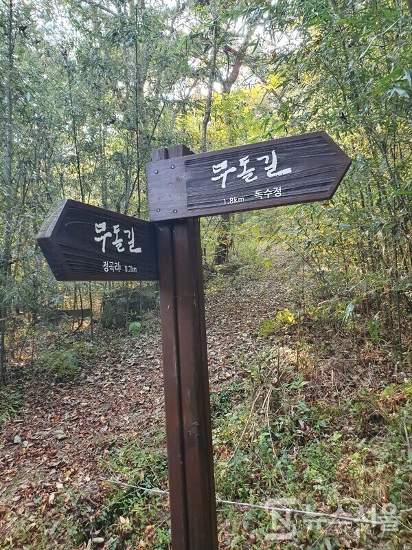 함충이재. 무돌길 전남 담양구간 첫 번째 길인 제5길 ‘독수정길’은 전남 담양군 가사문학면 연천리 ‘산음교’에서 시작하여 ‘독수정’을 지나고 ‘함충이재’를 넘어 정곡리 ‘정곡마을’을 거쳐 경상리 ‘경상마을’ 정자까지 이어지는 코스이다. ‘독수정’을 지난 뒤 산길을 따라 남쪽으로 오르다 보면 ‘함충이재’라는 고개 정상에 도달하게 된다. ‘함충이재’는 꾀꼬리가 벌레를 머금고 있는 형국이라 하여 ‘함충이’란 이름을 갖게 된 고개이다.