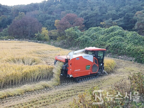 화순 이서면 송계마을 논에서 벼 수확 중인 콤바인. 무돌길 제7길 도중에는 ‘송계마을’, ‘용강마을’이 있다. 10월말 ‘송계마을’ 논에는 콤바인이 가을 추수를 한참하고 있었는데, 풍요와 결실의 계절 가을 농촌의 행복한 번잡스러움이 넘치는 모습을 드러내 보이고 있었다.