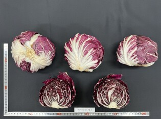 thumbimg