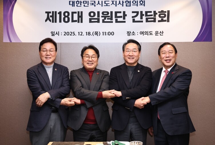 "행정수도 세종, 자치단체 ...