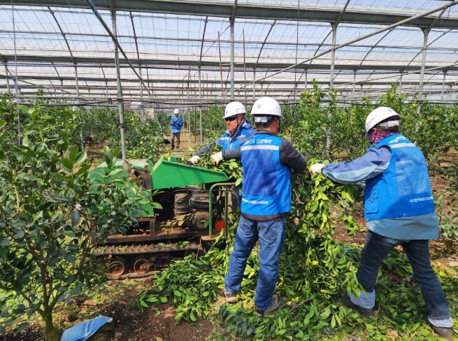 제주농업기술센터, 영농부산물 안전처리...