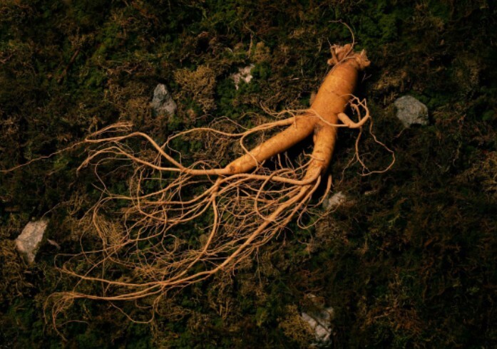 국가유산청, 유네스코 인류무형유산 대...