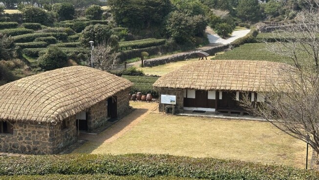 제주농업생태원, 전통초가 ‘지붕잇기’...