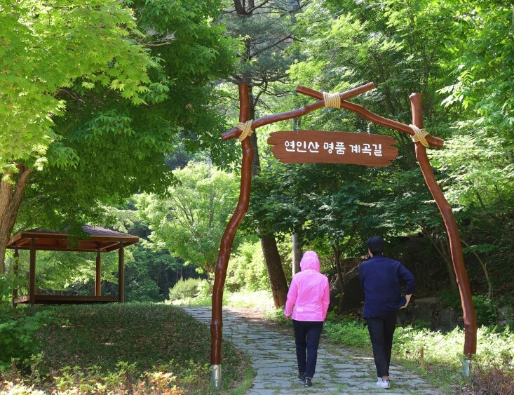 경기도, "여름철 용추계곡 ...