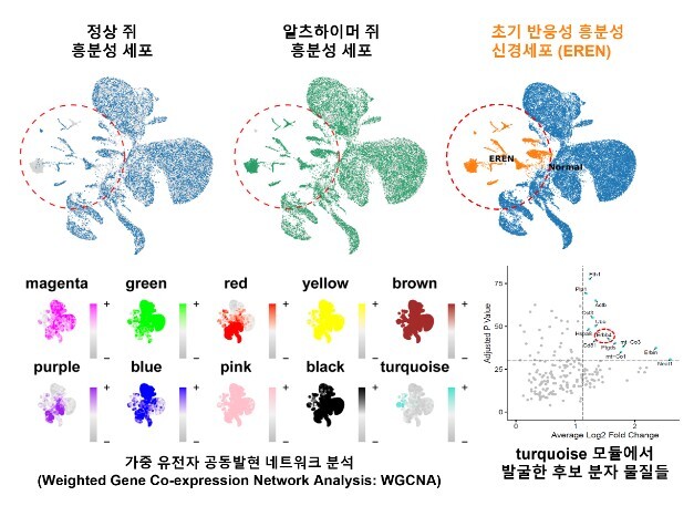 과기정통부, 알츠하이머 악순환 끊을 ...